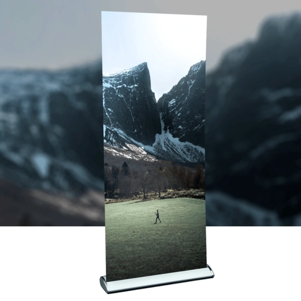 Deluxe Roller Banner